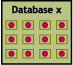 icon for "database"; this section describes options for custom software involving one or more databases